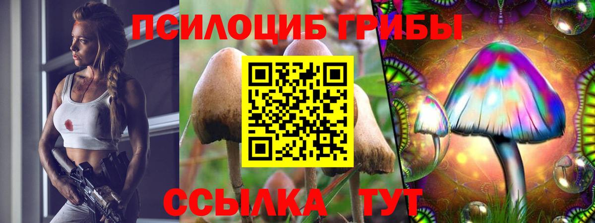 Псилоцибиновые грибы Magic Shrooms Кимовск